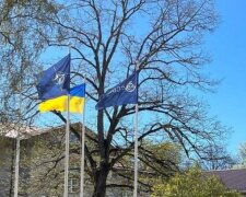 "Присоединение Украины усилит эффективность Киберцентра НАТО", – нардеп Пушкаренко