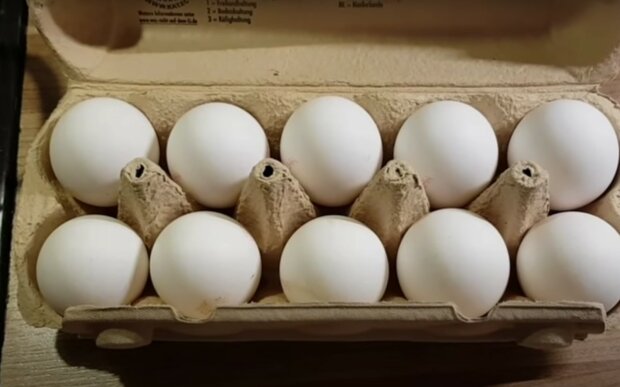 Курячі яйця.  Фото: скріншот YouTube-відео