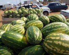 Допоможе звичайна склянка: як зрозуміти, що вам продають кавун, напханий нітратами та хімією