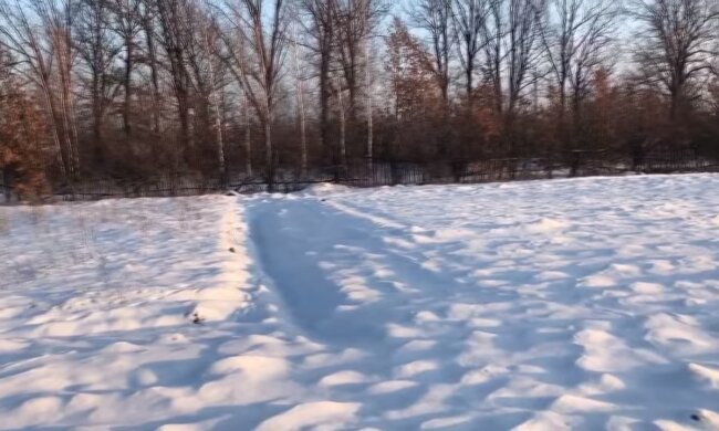 Земельный учаток. Фото: скриншот Youtube-видео