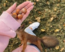 Гороскоп, изображение: Pinterest