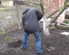 Що потрібно зробити восени на городі та на клумбі, щоб навесні не було бур'янів – поради, перевірені роками