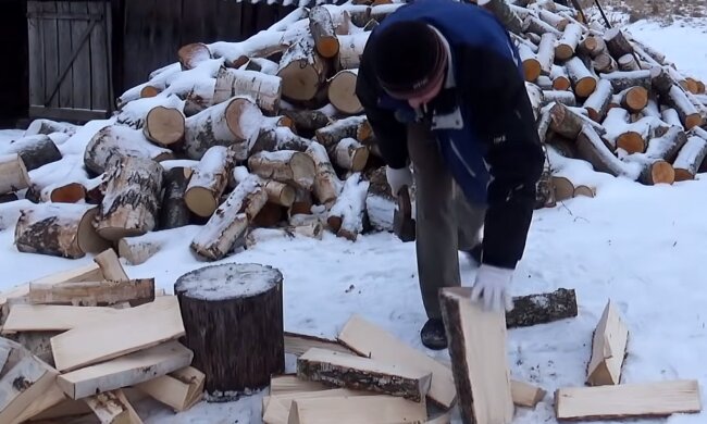 Украинцы смогут купить намного больше дров на зиму: сколько теперь будут выдавать денег