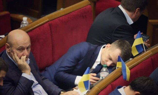 Спящий нардеп