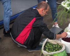 Хорошо тем, кто сделал консервацию: в Украине резко дорожает популярный овощ
