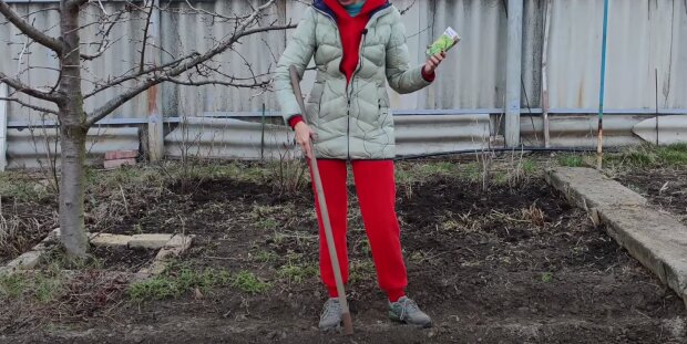 Город