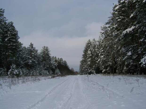 Зима вигнала осінь: відомий український курорт «потопає» у снігу. Відео дива