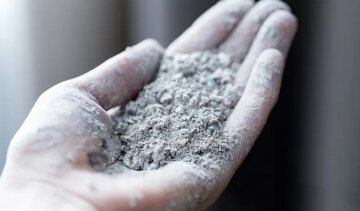 Головки з кулак – це не казка: яке добриво потрібно внести під час посадки озимого часнику 4 Застосування золи на городі, фото: youtube.com