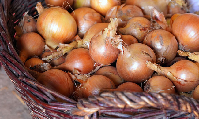 Положите рядом один простой продукт и лук будет свежим и твердым аж до самой весны