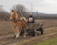 Только на лошадях: уже и китайцы оставят россиян без своих машин