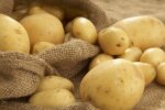 Вам не хватит мешков для сбора урожая: названы самые лучшие сорта картошки, которые нужно посадить в следующем году