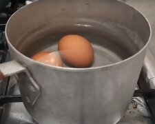 Вареный яйца: скрин с видео