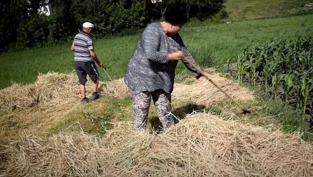 Украинцев обрадовали: кого освободили от налога на дачи и огороды