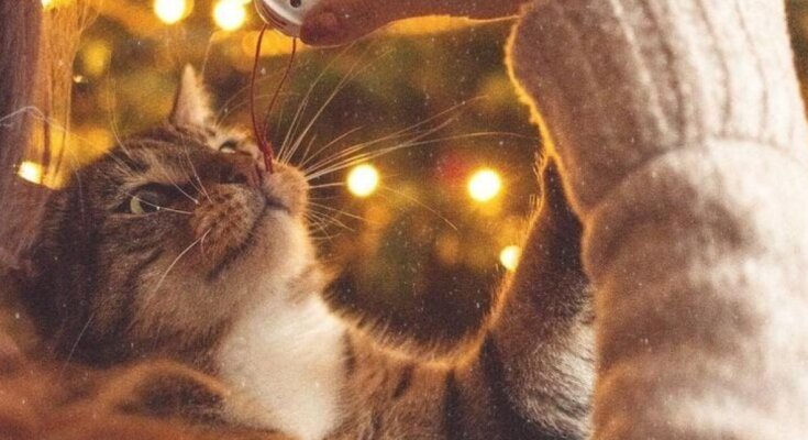 Гороскоп, зображення: Pinterest