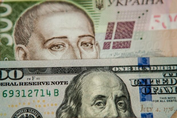 Доллар упал ниже 24 гривен: курс валют в Украине на 27 ноября