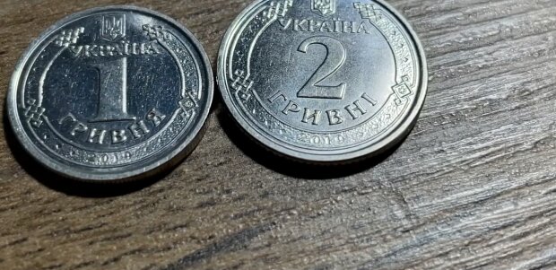 Украинские монеты. Фото: YouTube