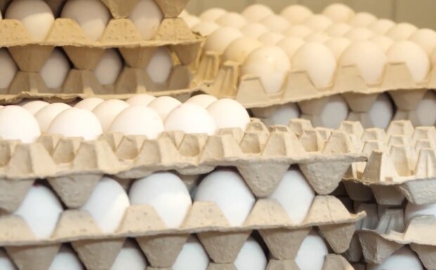 Курячі яйця. Фото: YouTube