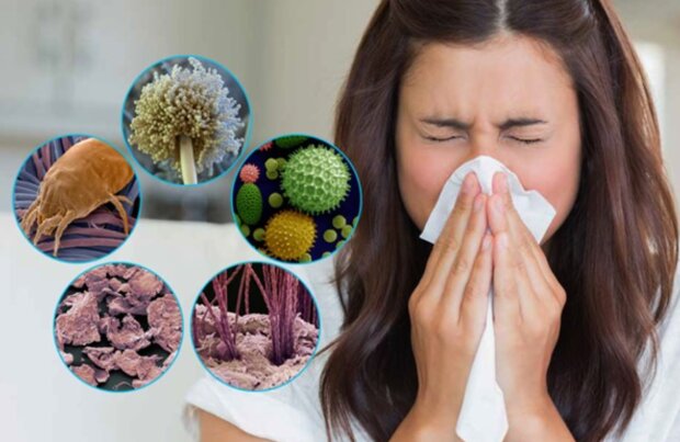 Алергія, зображення із вільних джерел