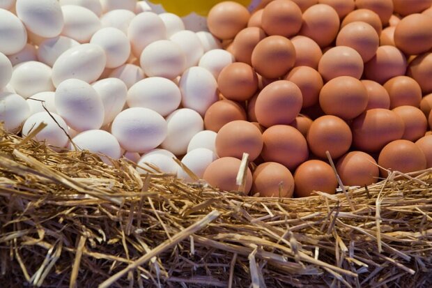 Ответ вас точно удивит: чем отличаются белые яйца от коричневых и какие полезнее