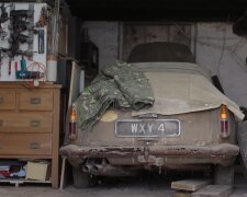 У покинутому гаражі знайшли рідкісний Aston Martin, який припадав пилом 40 років. Фото: YouTube