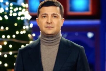 Такий гарний президент. У мережі сміються над реакцією кота на новорічний виступ Зеленського