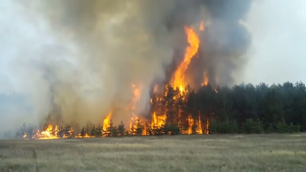 Лесной пожар. YouTube