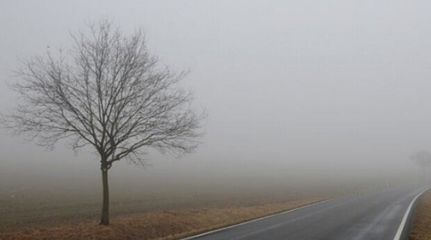 Туман, фото: превью You Tube