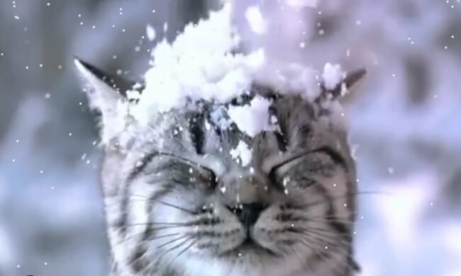 Календарь выходных на декабрь 2022. Фото: YouTube