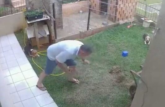 В Бразилии мужчина подорвал огород чтобы избавиться от насекомых