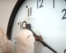 Не проспите: сегодня в Украине переводят часы на зимнее время. Куда крутить стрелки