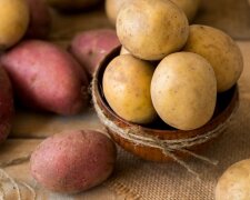 Цены на картошку не перестают удивлять: сколько сейчас она стоит и чего ожидать