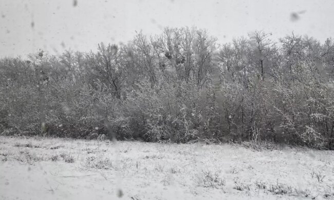 Сніг на Київщині. Фото: segodnya.ua