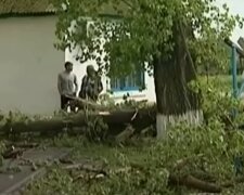 Ураган в России. Фото: скриншот YouTube