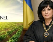 Можлива змова з банком та син судді Погрібної, звільнений з прокуратури, - нові подробиці позову Kernel до "Сенс Банку" на 1,75 млрд грн
