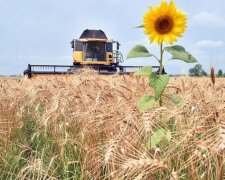 Ваш город перетворитися на пустелю, де нічого не зростатиме: що ні в якому разі не можна робити на грядках