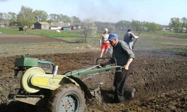 Рынок земли в Украине