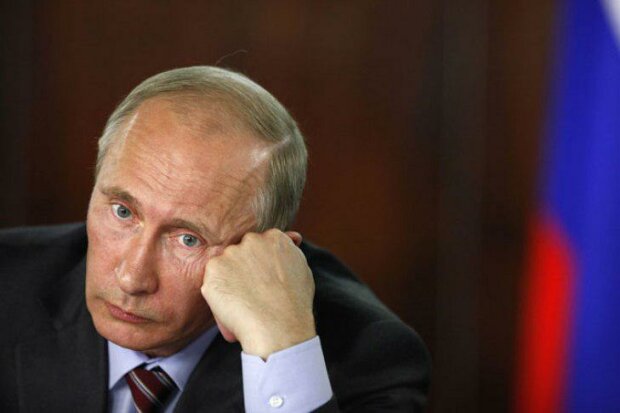 Владимир Путин, фото Novostivmire