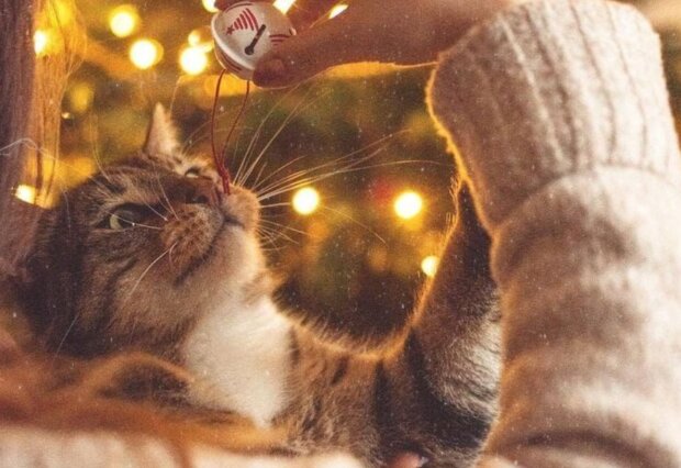 Гороскоп, зображення: Pinterest