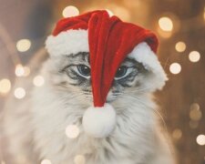 Гороскоп, зображення: Pinterest