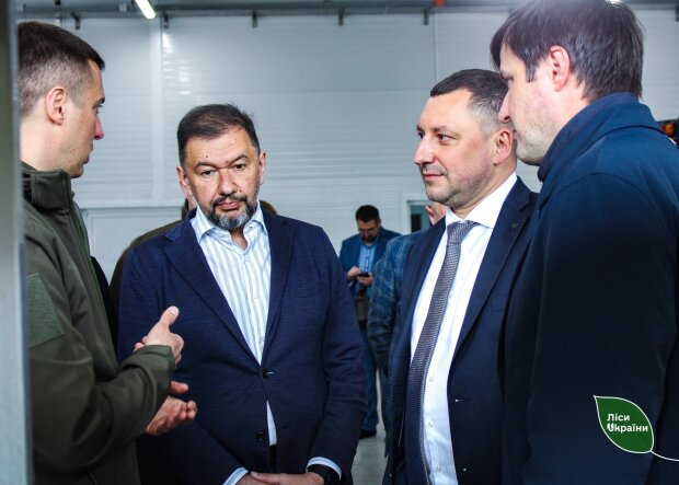 Ігор Зубович, Голова комісії з перетворення ДП «Ліси України»