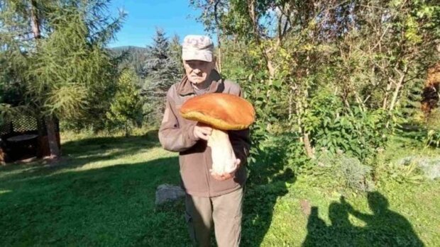 Вёз домой на тележке: украинец нашел в Карпатах гриб весом в три килограмма. Фото