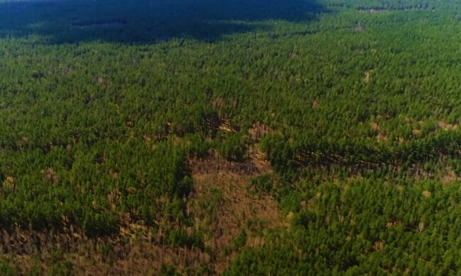 В Міндовкілля розповіли, чому реформа державного екологічного контролю є одним з пріоритетів 2024 року