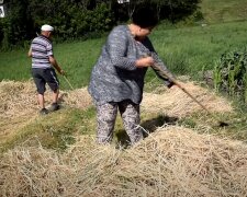 Украинцев обрадовали: кого освободили от налога на дачи и огороды