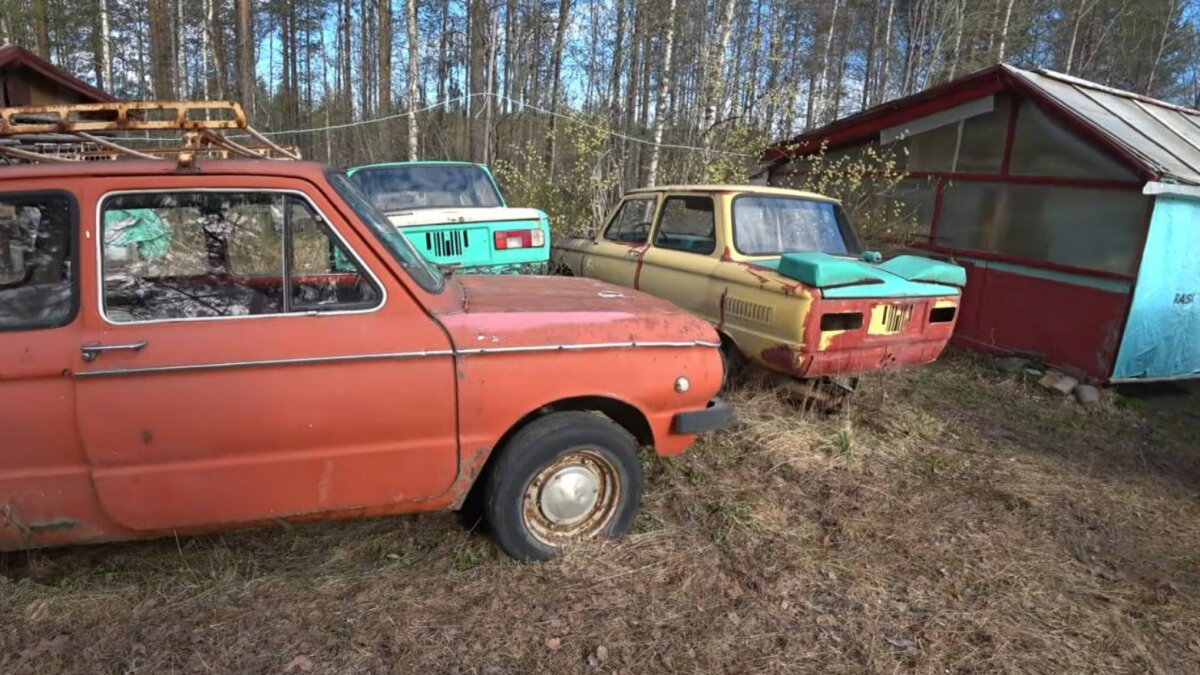 В лесу нашли заброшенные Запорожцы. Видео 