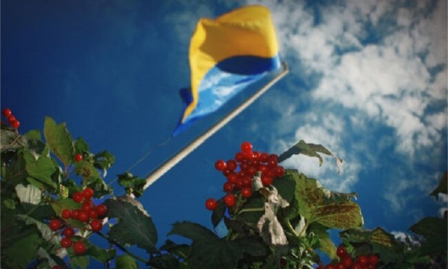 Путина перекрутит: под стенами Кремля прозвучала "Ой, у лузі червона калина"