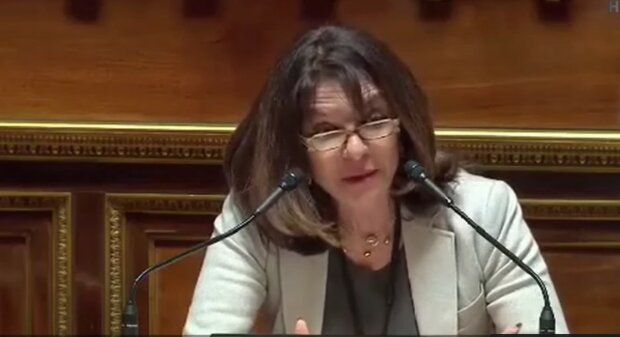 Французский сенатор Гуле во время дебатов с трибуны заявила о внесудебных расправах со "112", ZIK и Newsone