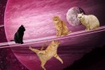 Гороскоп, изображение: Pinterest