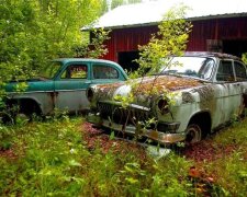 Есть "Жигули" и "Нива": в лесу обнаружили целое кладбище советских автомобилей