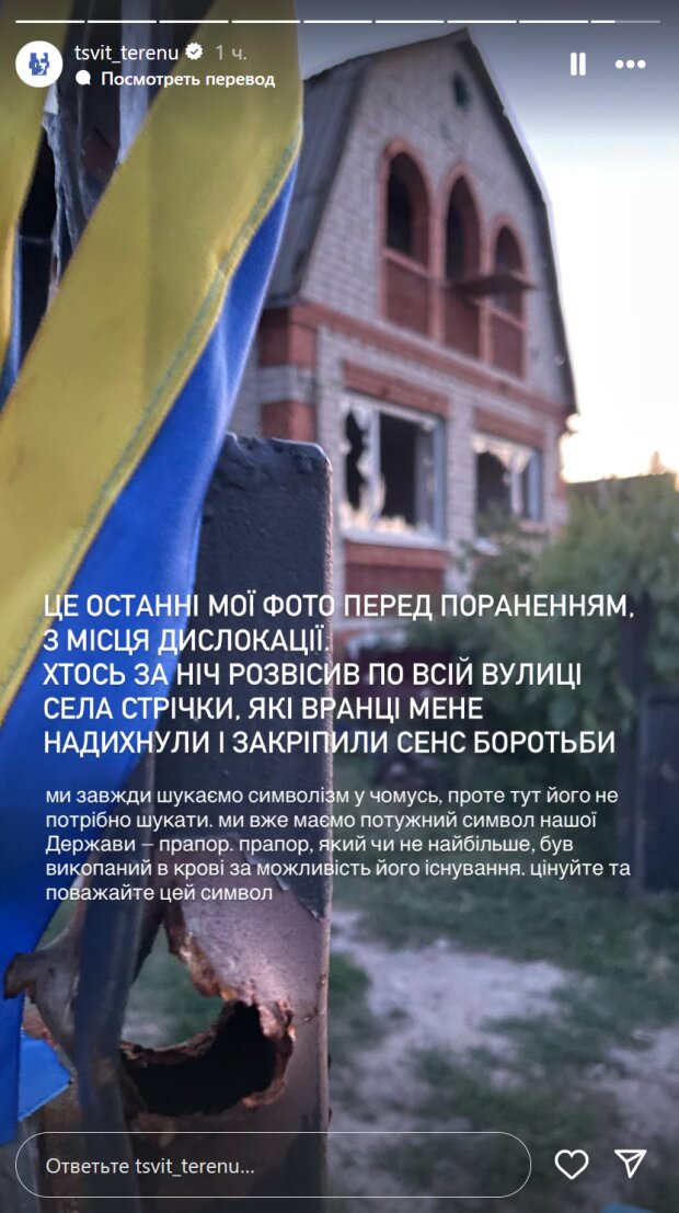 Сториз Олександра "Терена" Будька
