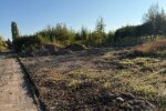 Сміття прибрали, але осад залишився: хроніка боротьби за чисту територію в Житомирі